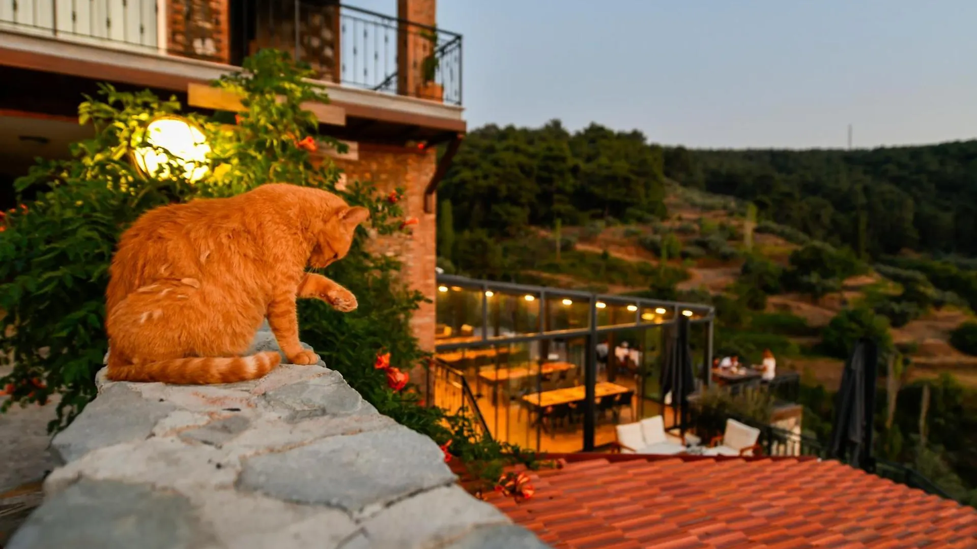 Hotel Ephesus Retreat Izmir Türkei